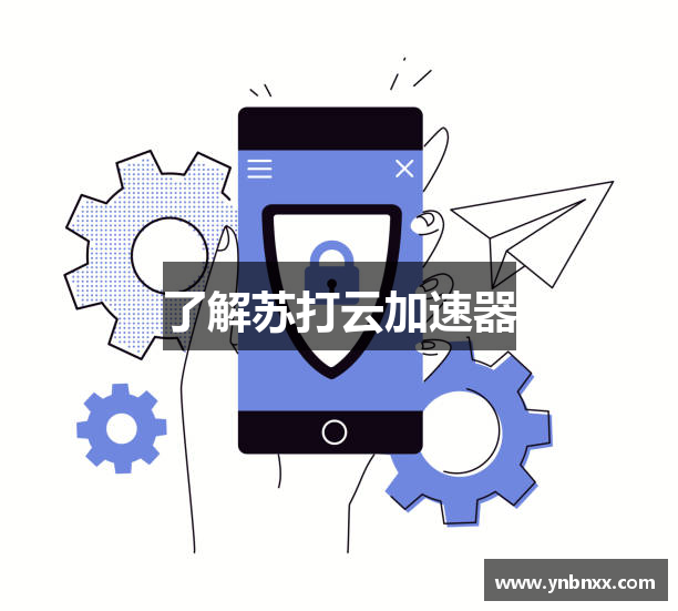 了解苏打云加速器