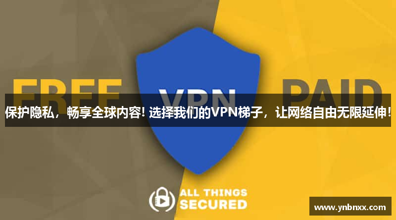保护隐私，畅享全球内容! 选择我们的VPN梯子，让网络自由无限延伸！
